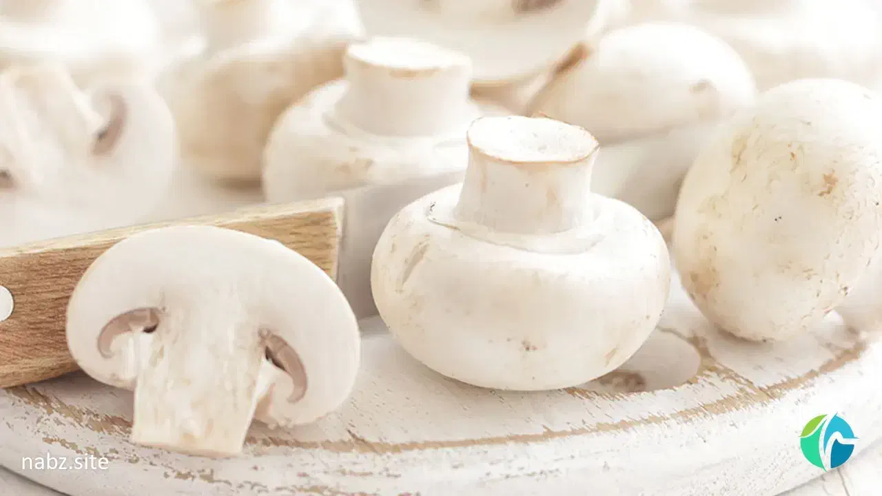 قارچ تازه درجه یک پشت بسته|خوردنی و آشامیدنی|شیراز, معالیآباد|دیوار