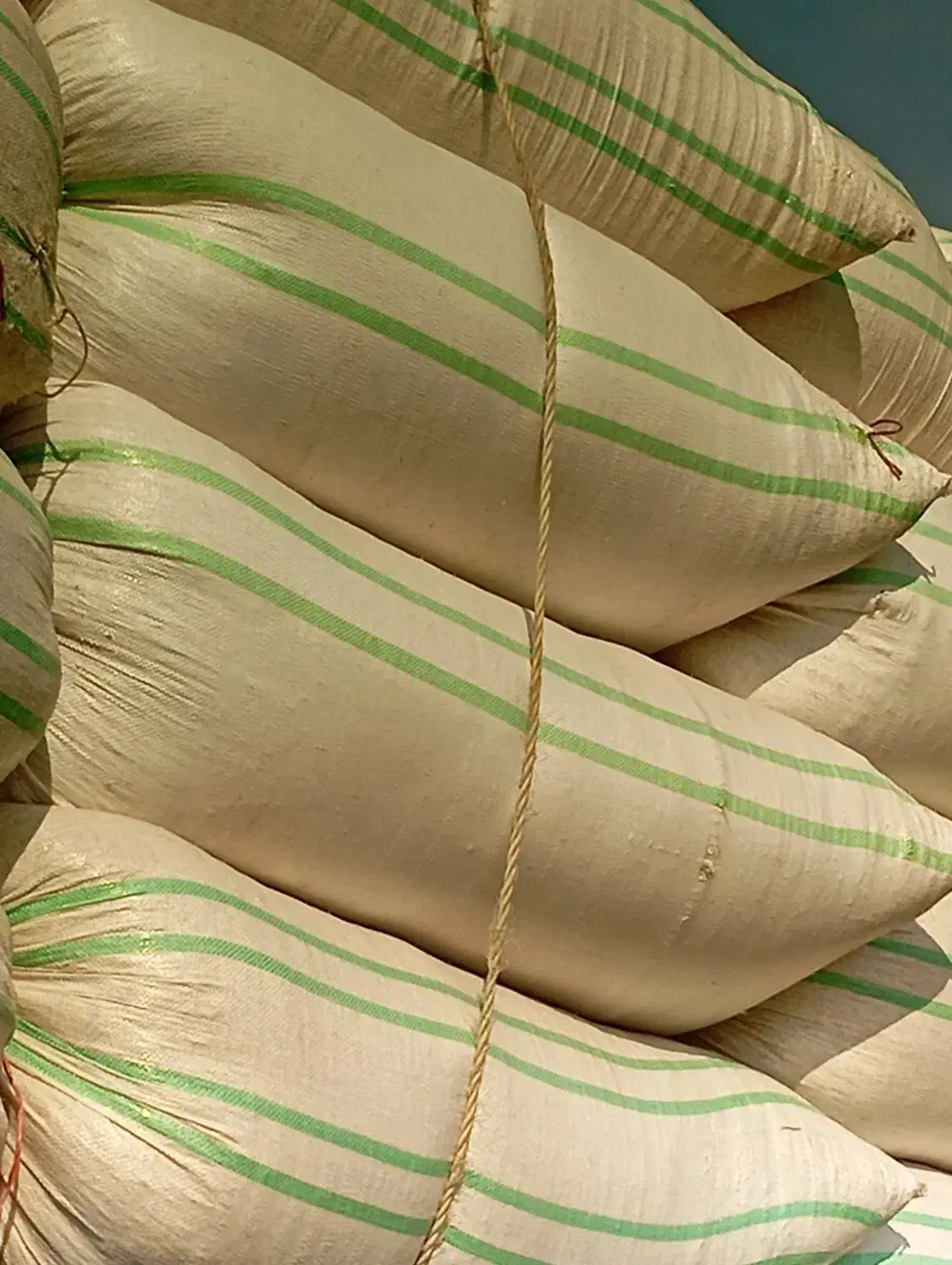 کاه|لوازم جانبی حیوانات|هشتگرد, تهران دشت|دیوار