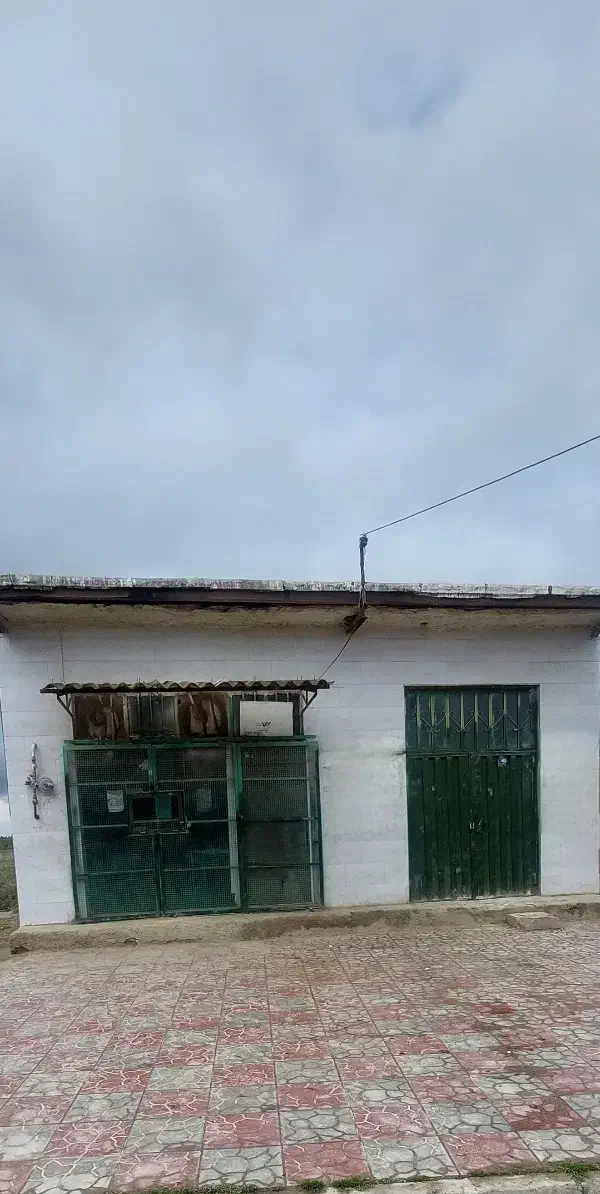 نانوایی فروشی|فروش مغازه و غرفه|گرگان, |دیوار