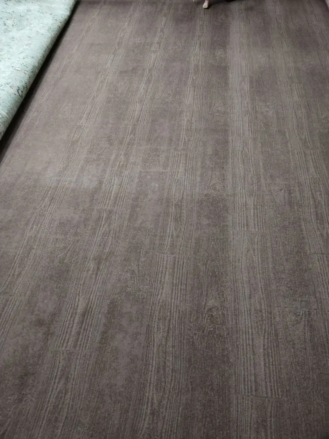 موکت|موکت|قائم‌شهر, |دیوار