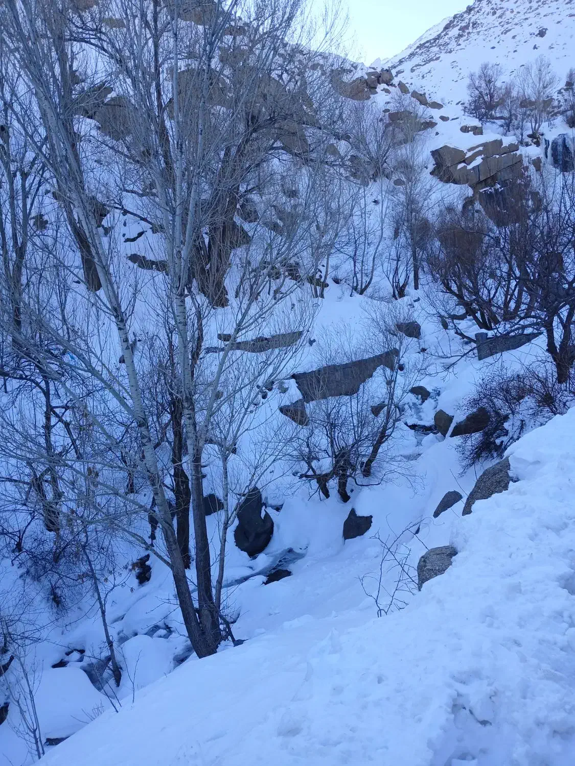 راویز کار|خدمات پیشه و مهارت|همدان, |دیوار