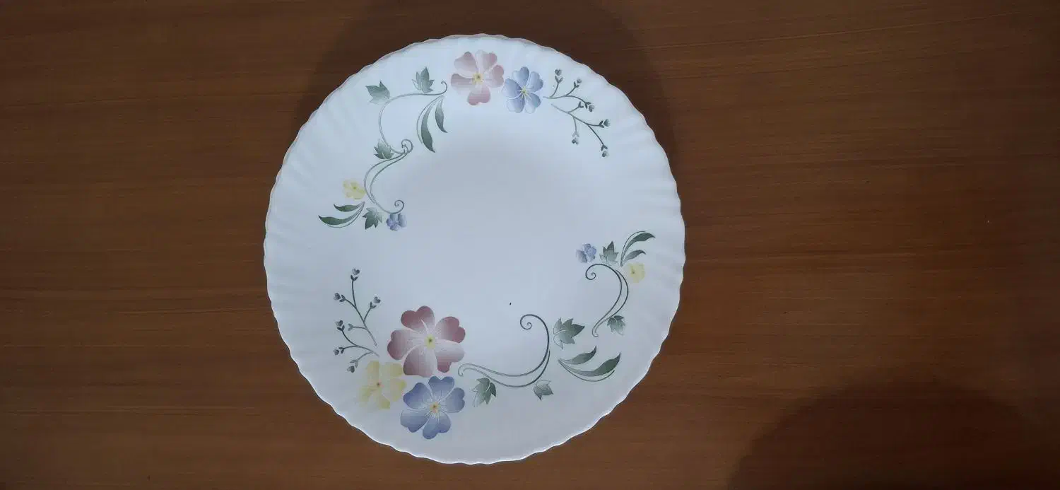 بشقاب ارکوپال|میز و صندلی غذاخوری|تهران, زرکش|دیوار