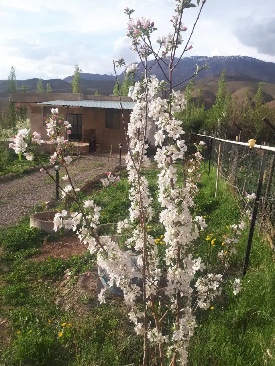 اجاره کوتاه مدت (آب هوای پاک)|اجارهٔ کوتاهمدت ویلا و باغ|طالقان, |دیوار