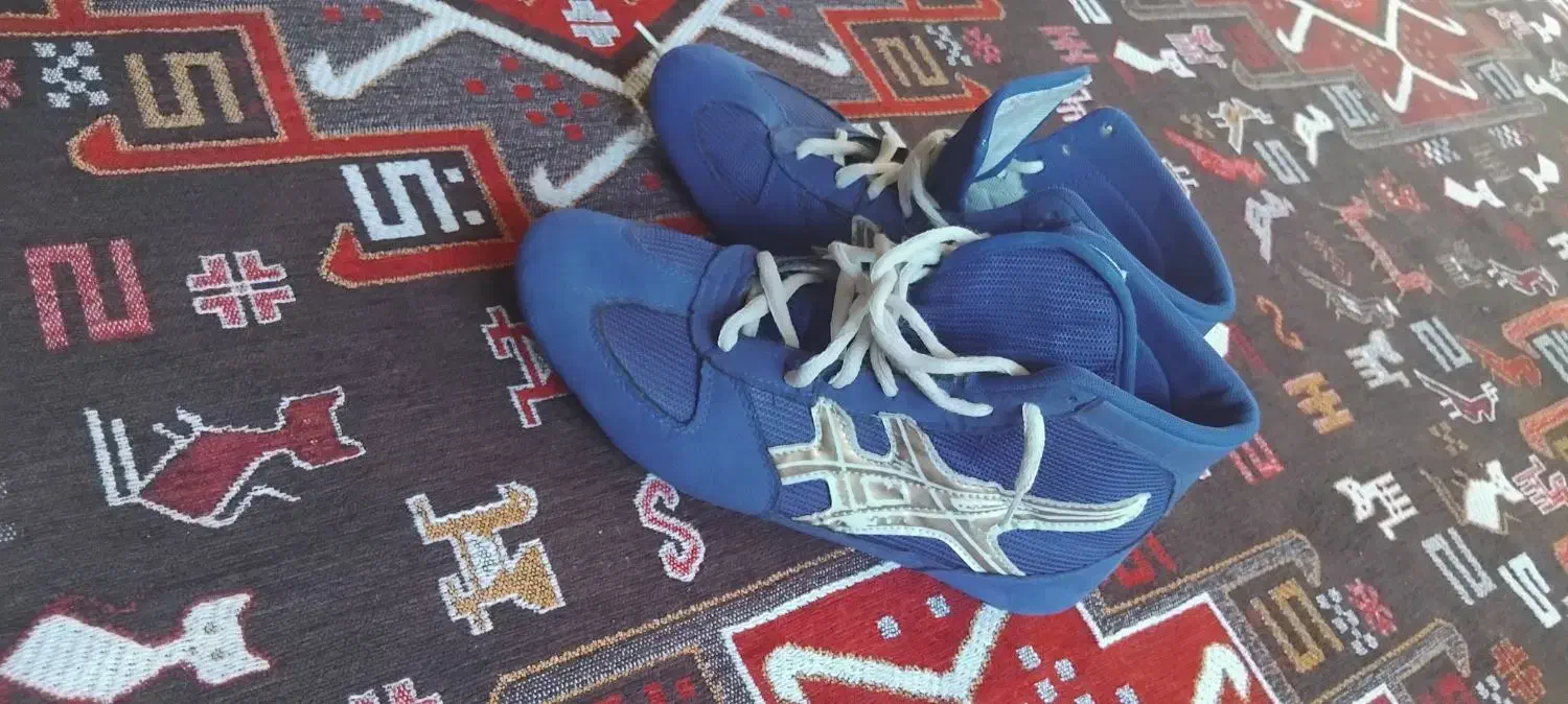 کتونی|کیف، کفش، کمربند|الشتر, |دیوار