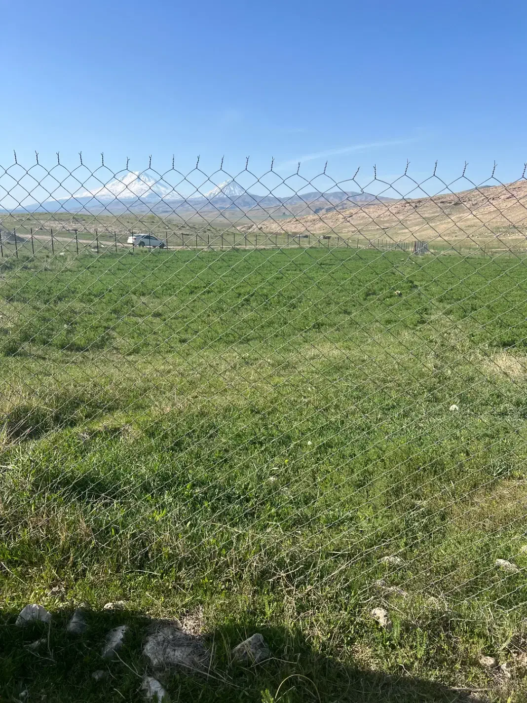 زمین کشاورزی|فروش دفتر صنعتی، کشاورزی، تجاری|ماکو, |دیوار