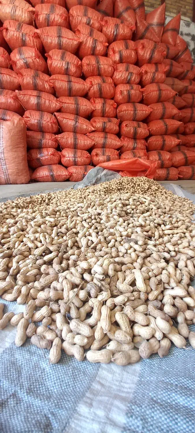 نیروی کار آقابرای کارگاە خشکبار|استخدام صنعتی، فنی، مهندسی|سنندج, |دیوار