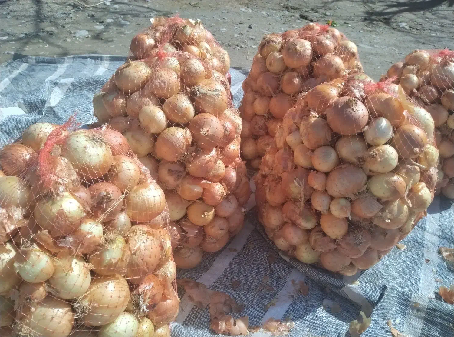 15000|خوردنی و آشامیدنی|سیلاخور, |دیوار