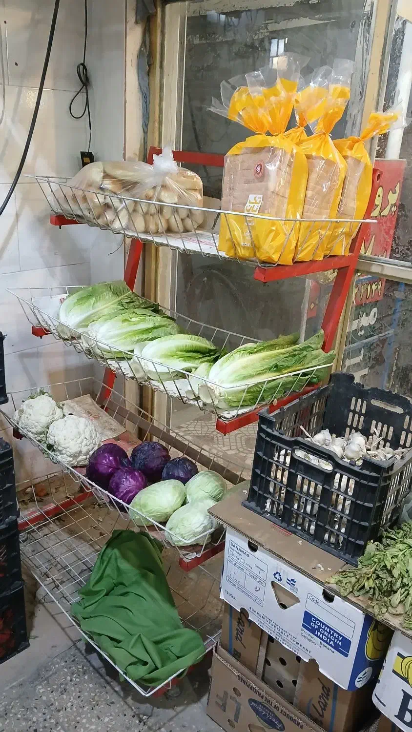 یخچال ایستاده رامهرمز|فروشگاه و مغازه|رامهرمز, |دیوار