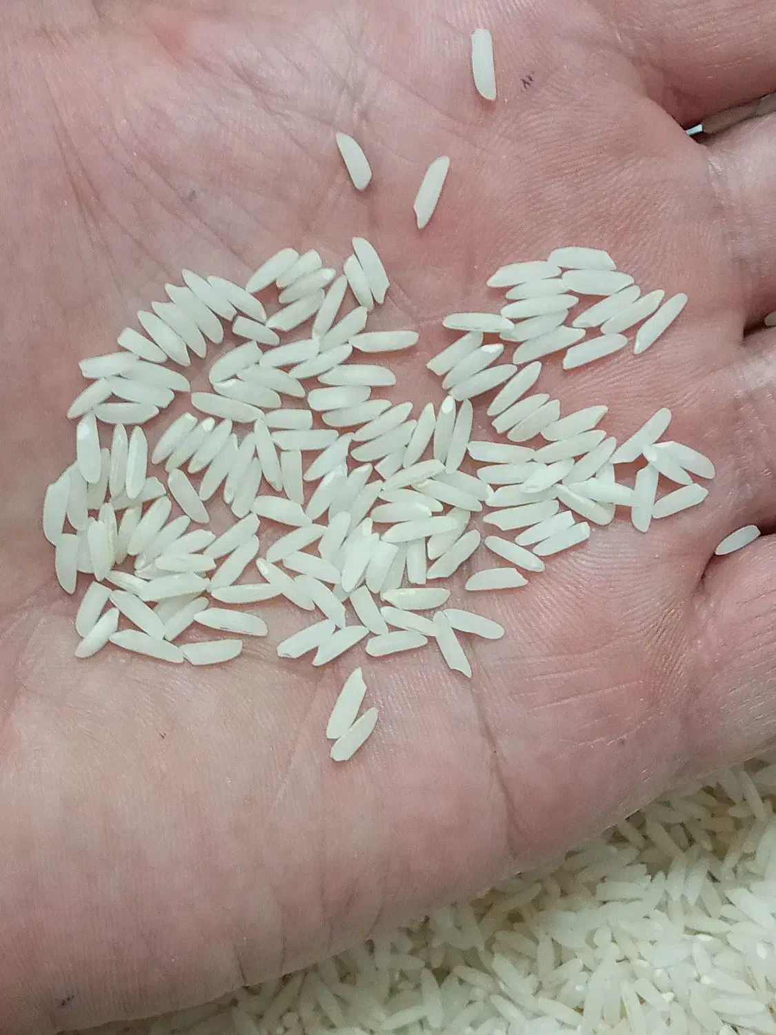 برنج هاشمی اعلادرجه یک گیلان رشت|خوردنی و آشامیدنی|رشت, استادسرا|دیوار