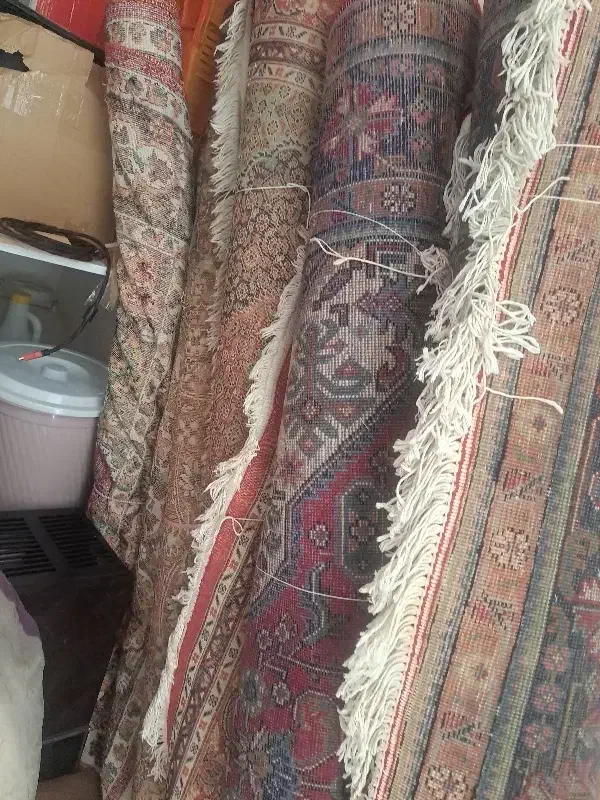 فرش وموکت|فرش|ارومیه, |دیوار