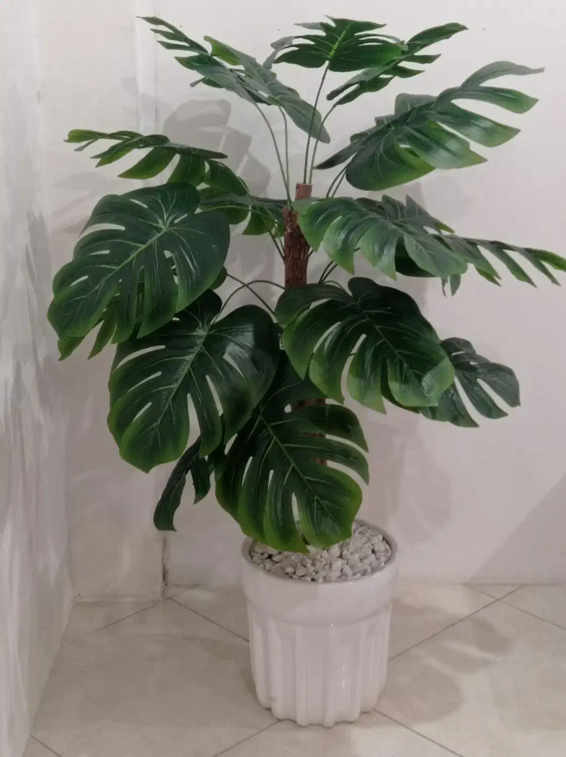 درختچه برگ انجیری|گل مصنوعی|اهواز, کوی باهنر|دیوار