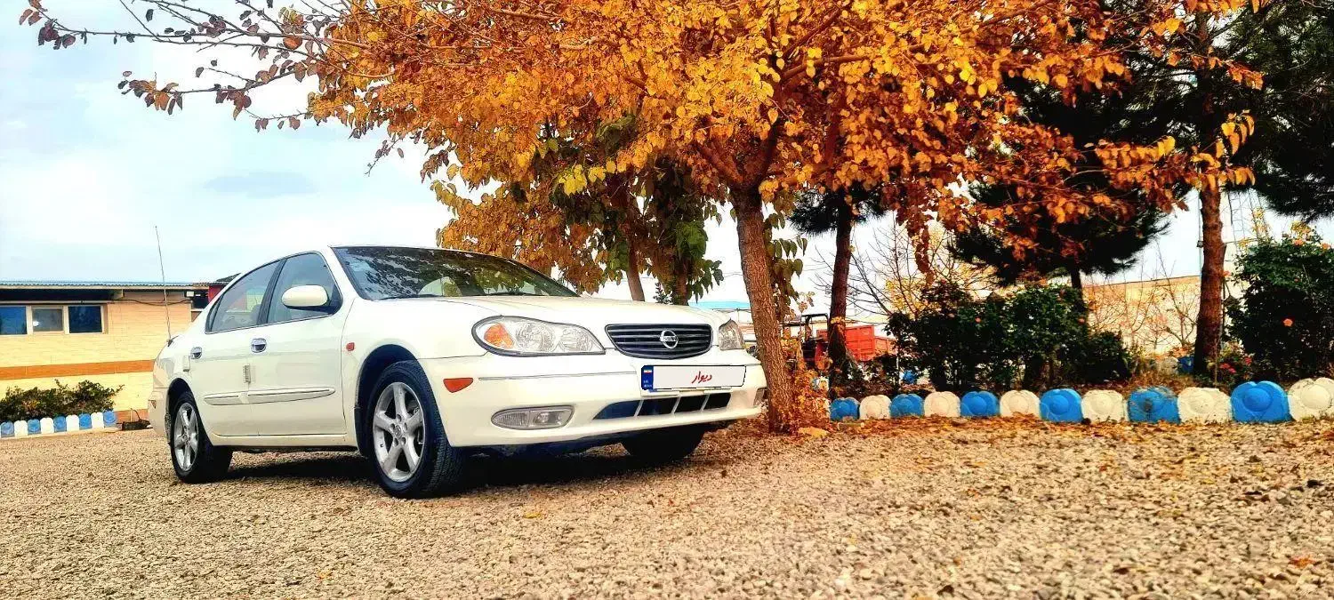 ماکسیما ۸۶|خودرو سواری و وانت|تهران, مخصوص|دیوار