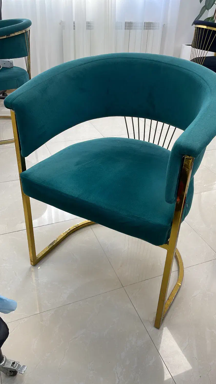 تجهیزات سالن|آرایشگاه و سالن‌های زیبایی|رشت, پارک شهر|دیوار