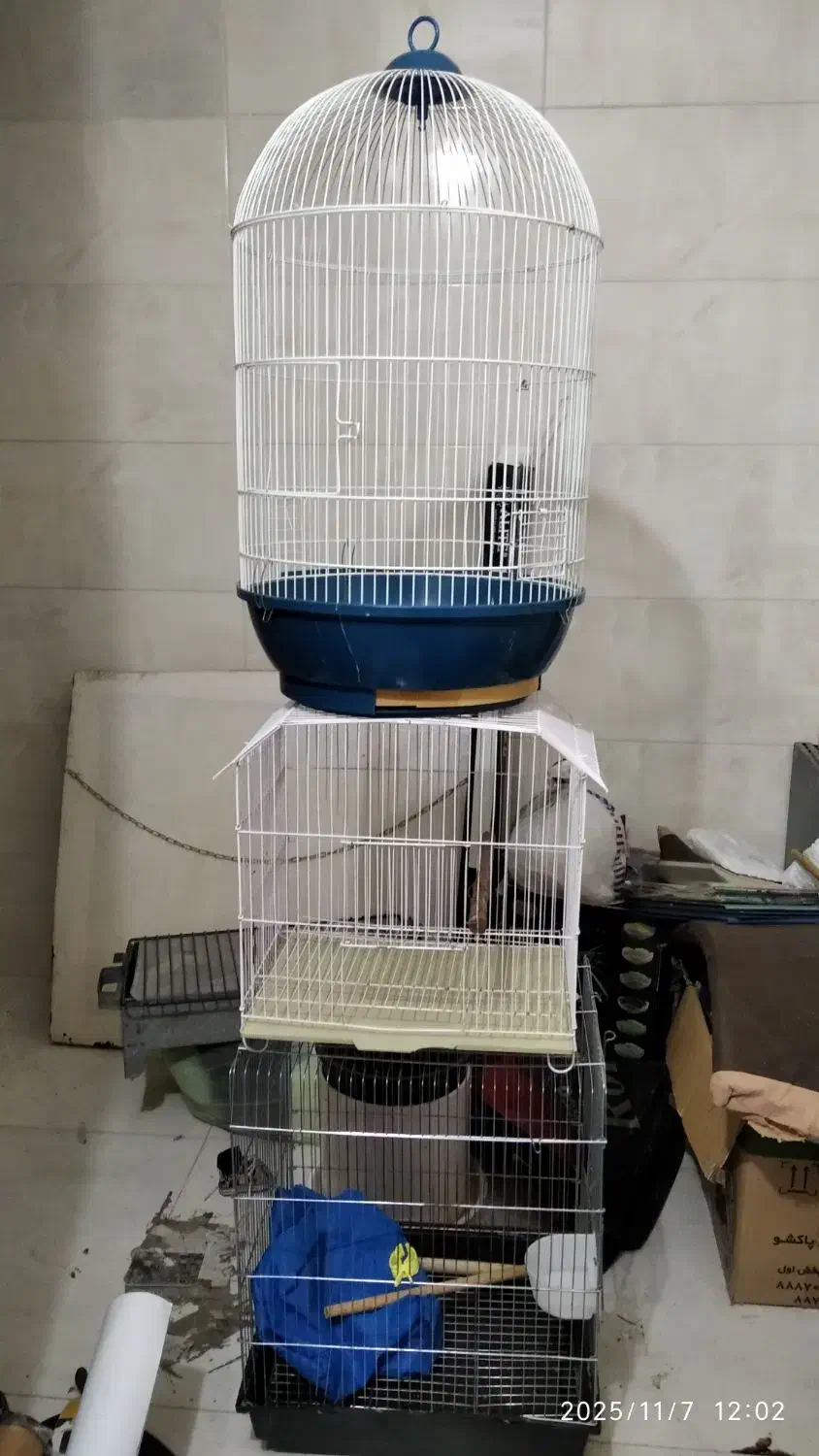 قفس پرنده|لوازم جانبی حیوانات|اصفهان, ملک‌شهر|دیوار