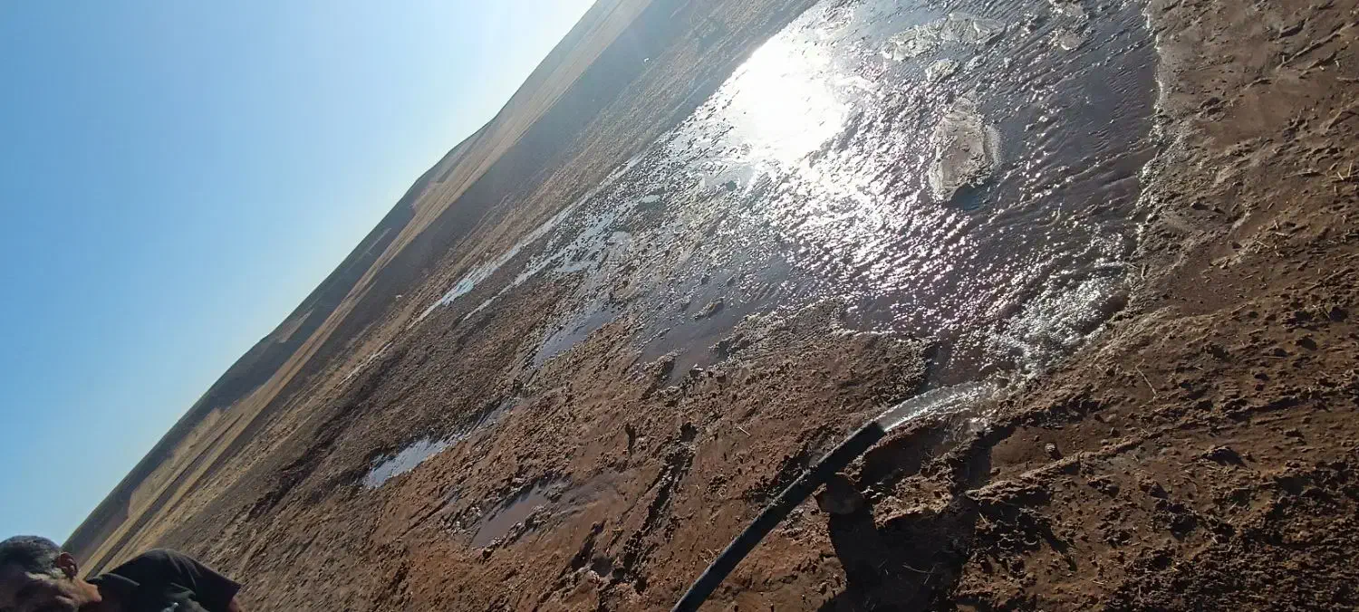 زمین کشاورزی|فروش دفتر صنعتی، کشاورزی، تجاری|صالح آباد, |دیوار