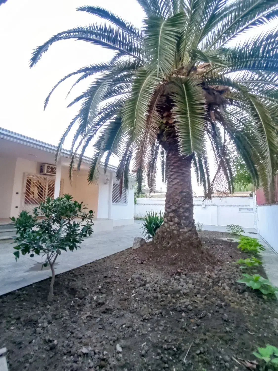 فروش ویلا با شرایط پرداخت عالی منطقه صفائیه|فروش خانه و ویلا|بابلسر, |دیوار