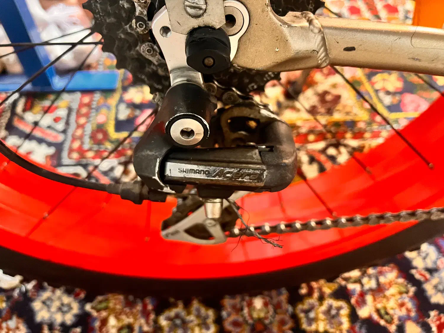 دوچرخه تایر ساحلی|دوچرخه، اسکیت، اسکوتر|تهران, پونک|دیوار