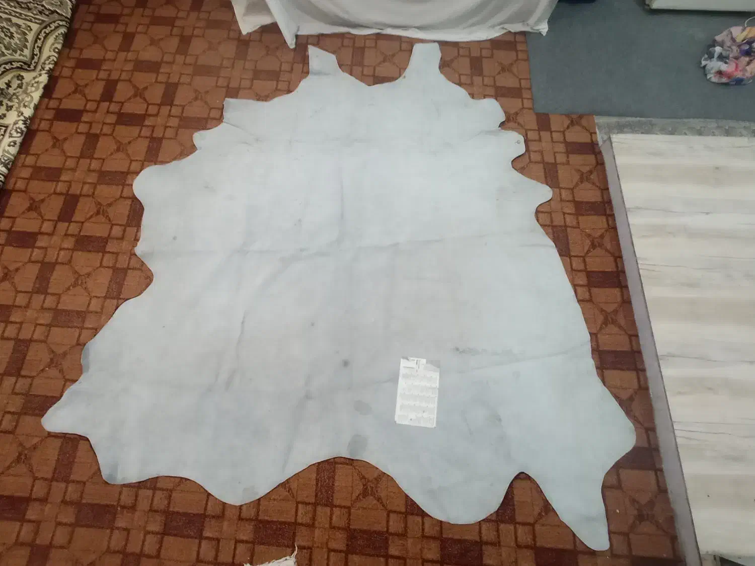 پوست چرم طبیعی گاو|کیف، کفش، کمربند|مینودشت, |دیوار