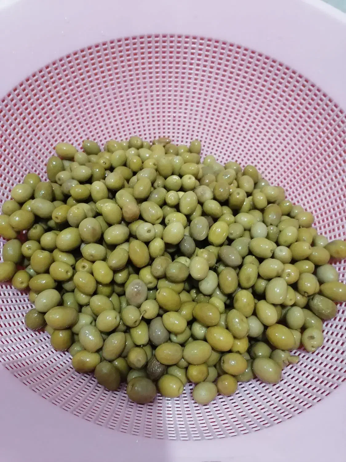 زیتون نمکی گوشتی|خوردنی و آشامیدنی|اهواز, کوی مهدیس|دیوار