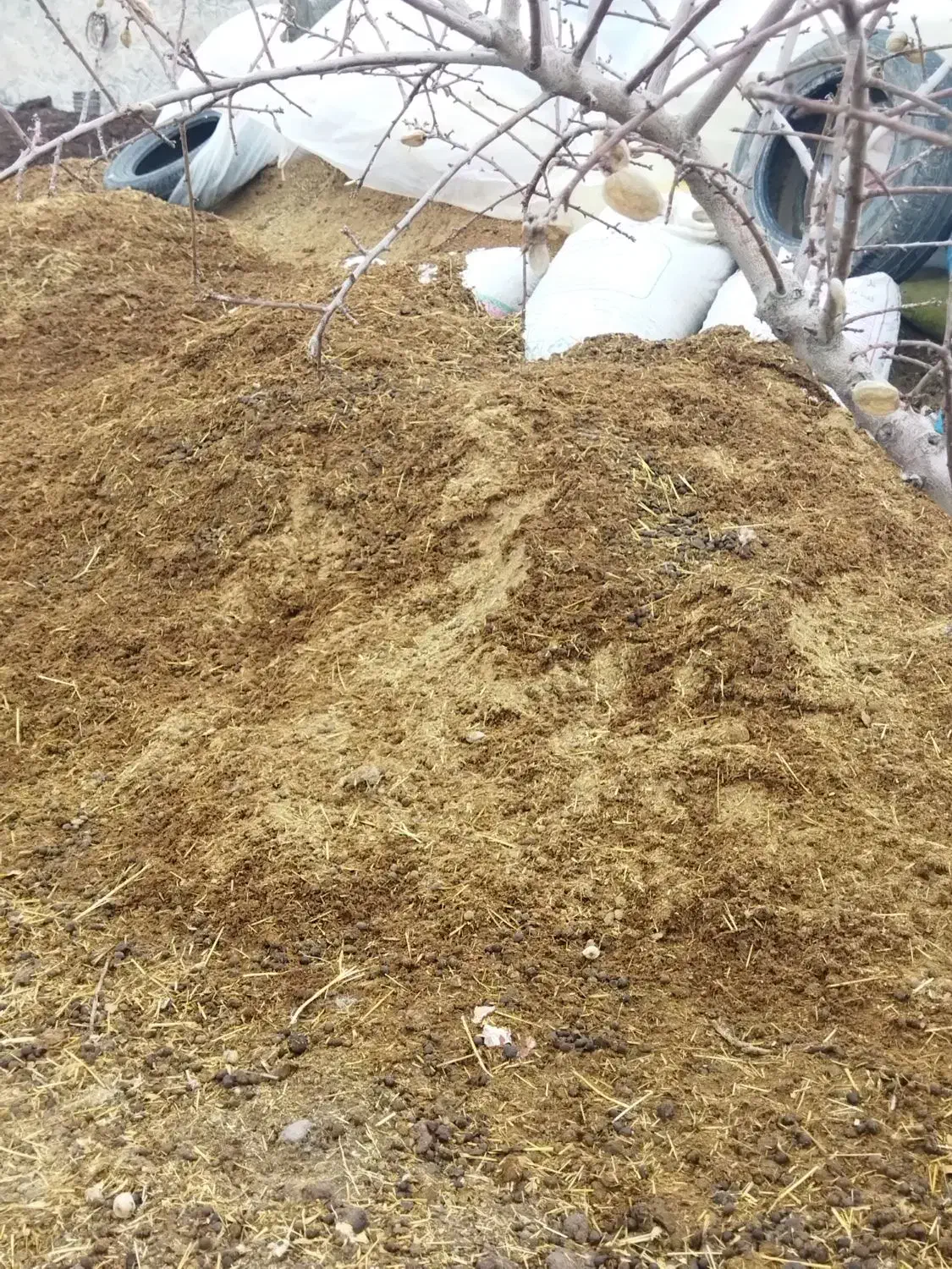 کود گوسفندی درجه یک|خدمات باغبانی و درختکاری|قزوین, |دیوار