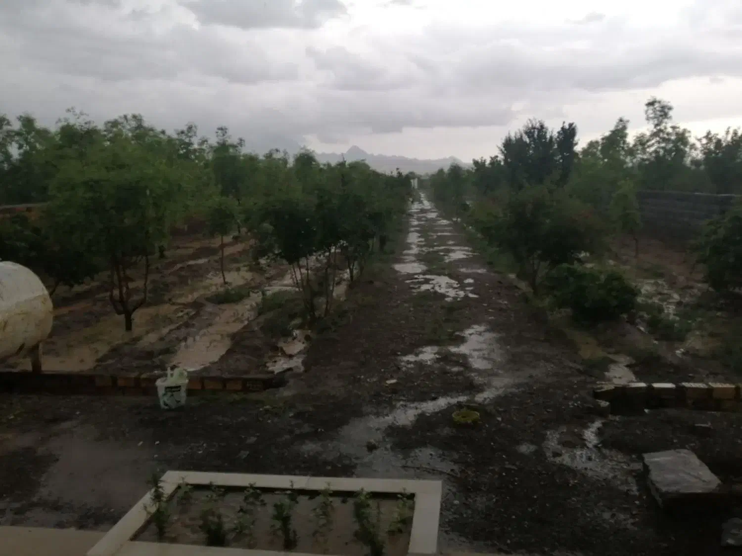 باغ ویلا د فخرآباد تقاب|فروش خانه و ویلا|خوسف, |دیوار