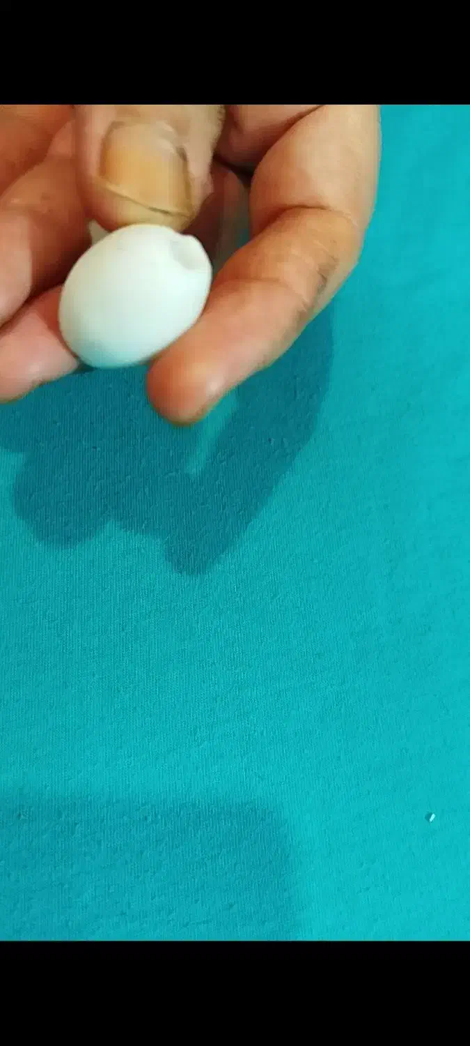 مهره های عتیقه قدیمی با قدمت نزدیک به 300 سال|کلکسیون اشیاء عتیقه|رامهرمز, |دیوار