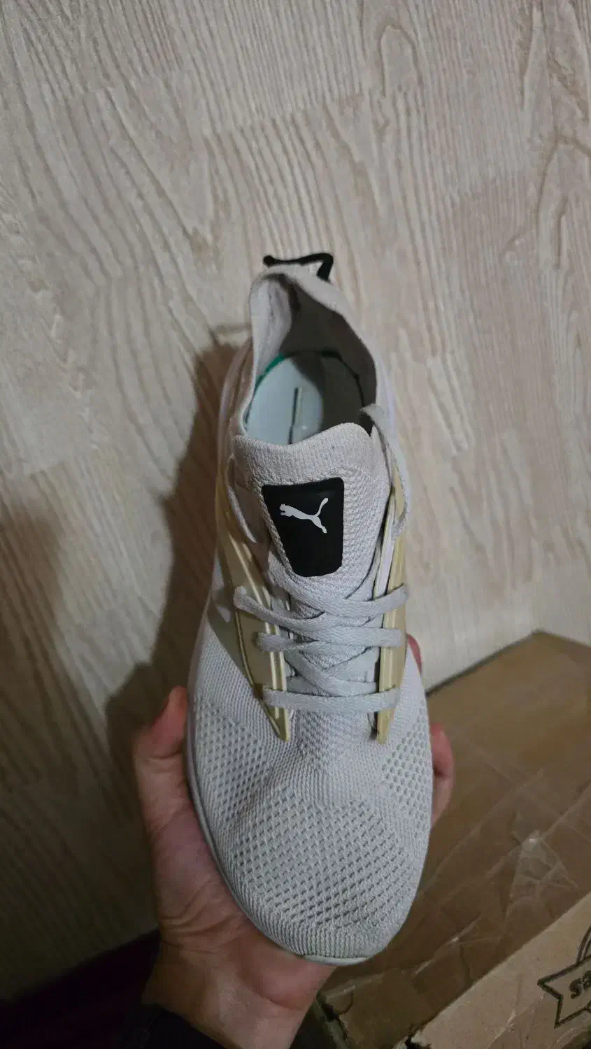 کتونی اورجینال پوما|کیف، کفش، کمربند|ری, جوانمرد قصاب|دیوار