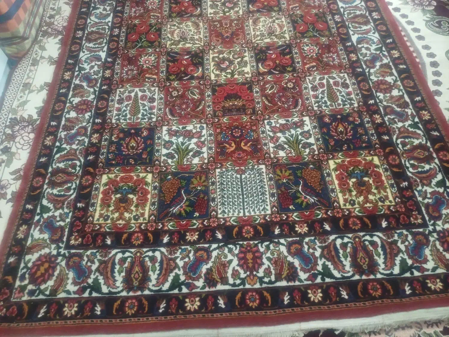 قالی ۲/۵×۱/۵ طرح چالشتری|فرش|شهرکرد, |دیوار