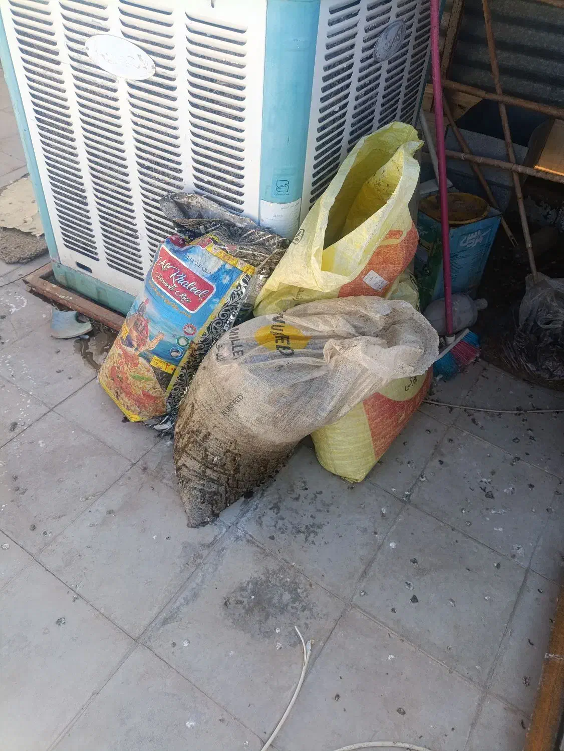 کود کفتر|لوازم جانبی حیوانات|بم, |دیوار