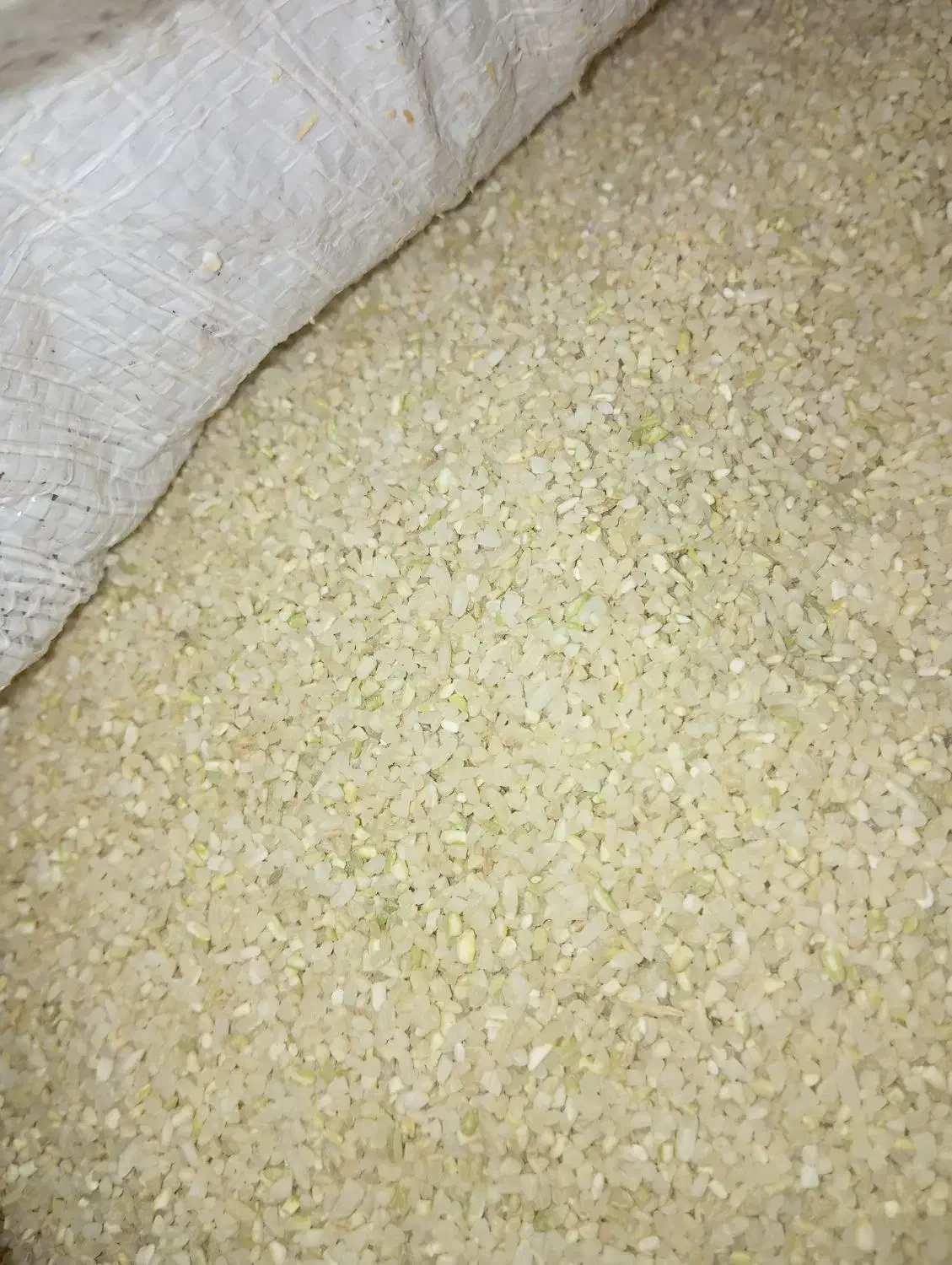 خوردهبرنجچمپای|خوردنی و آشامیدنی|کوه چنار, |دیوار