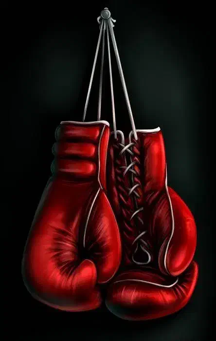 آموزش بوکس|خدمات آموزشی|پردیس, فاز ۲|دیوار