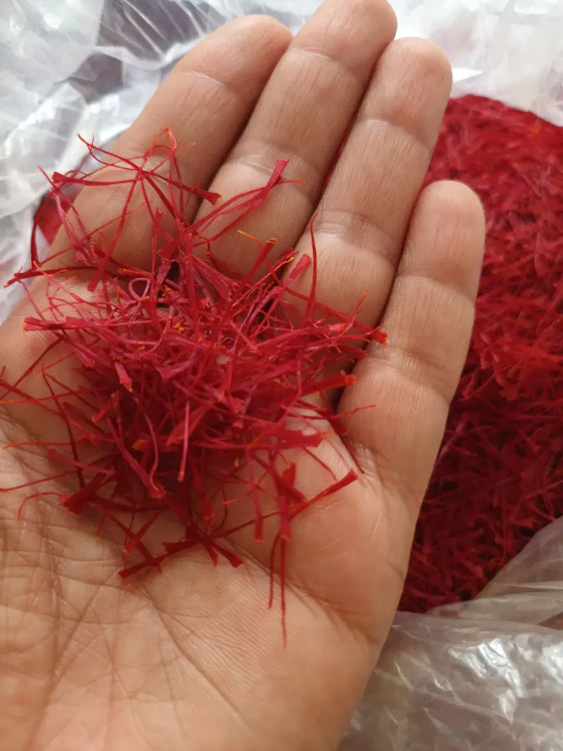 خشک کردن زعفران|خدمات پیشه و مهارت|مشهد, کارمندان دوم|دیوار