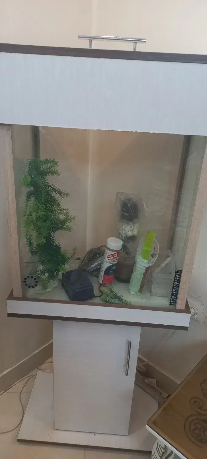 اکواریوم‌ شرکتی تروتمیز در حدنو|ماهی|تهران, افسریه شمالی|دیوار