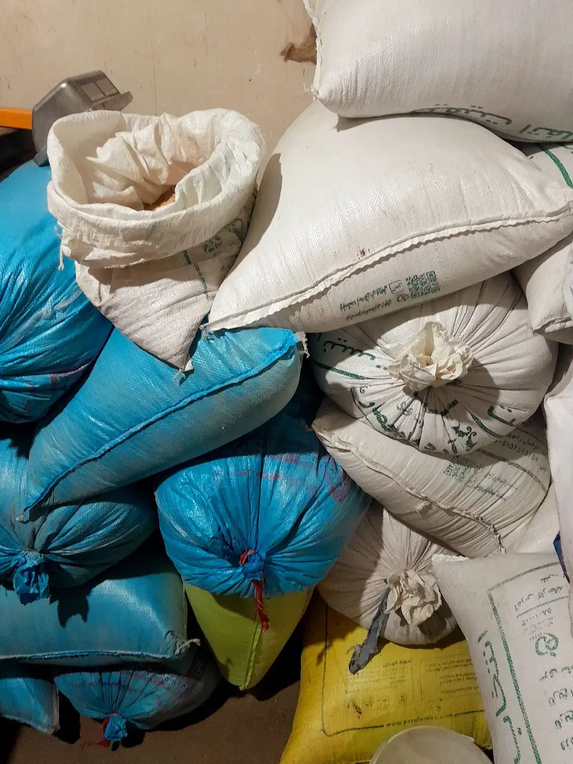 گندم دیم|عمده‌فروشی|تربت جام, عیدی آباد|دیوار