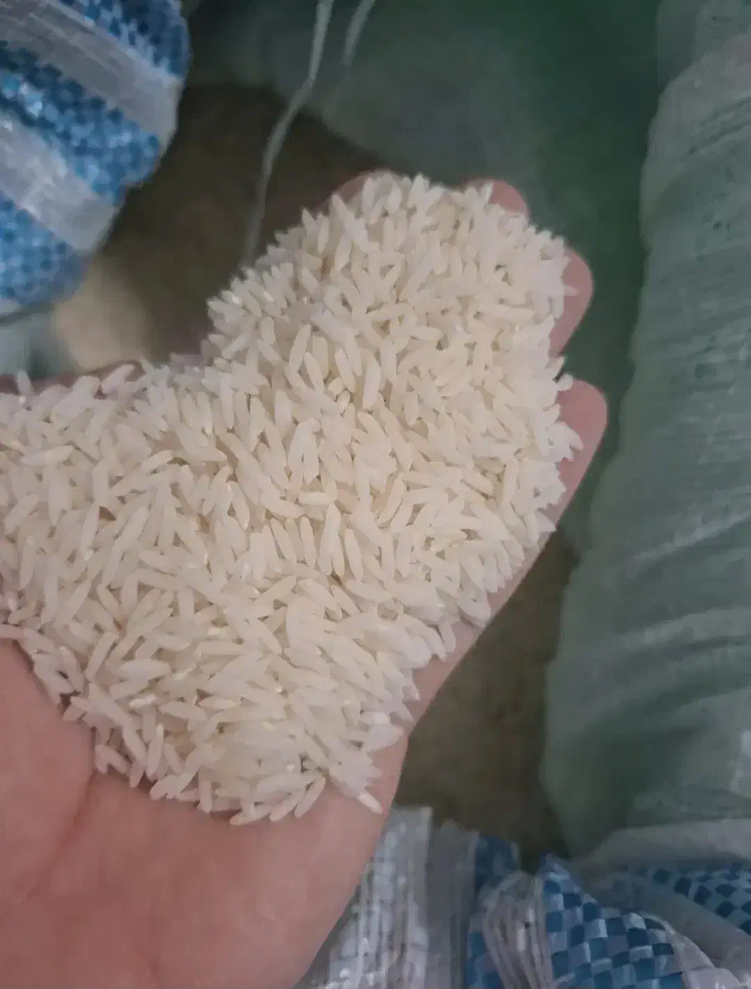 برنج طارم هاشمی معطرفریدونکنار درجه 1|خوردنی و آشامیدنی|بابلسر, |دیوار