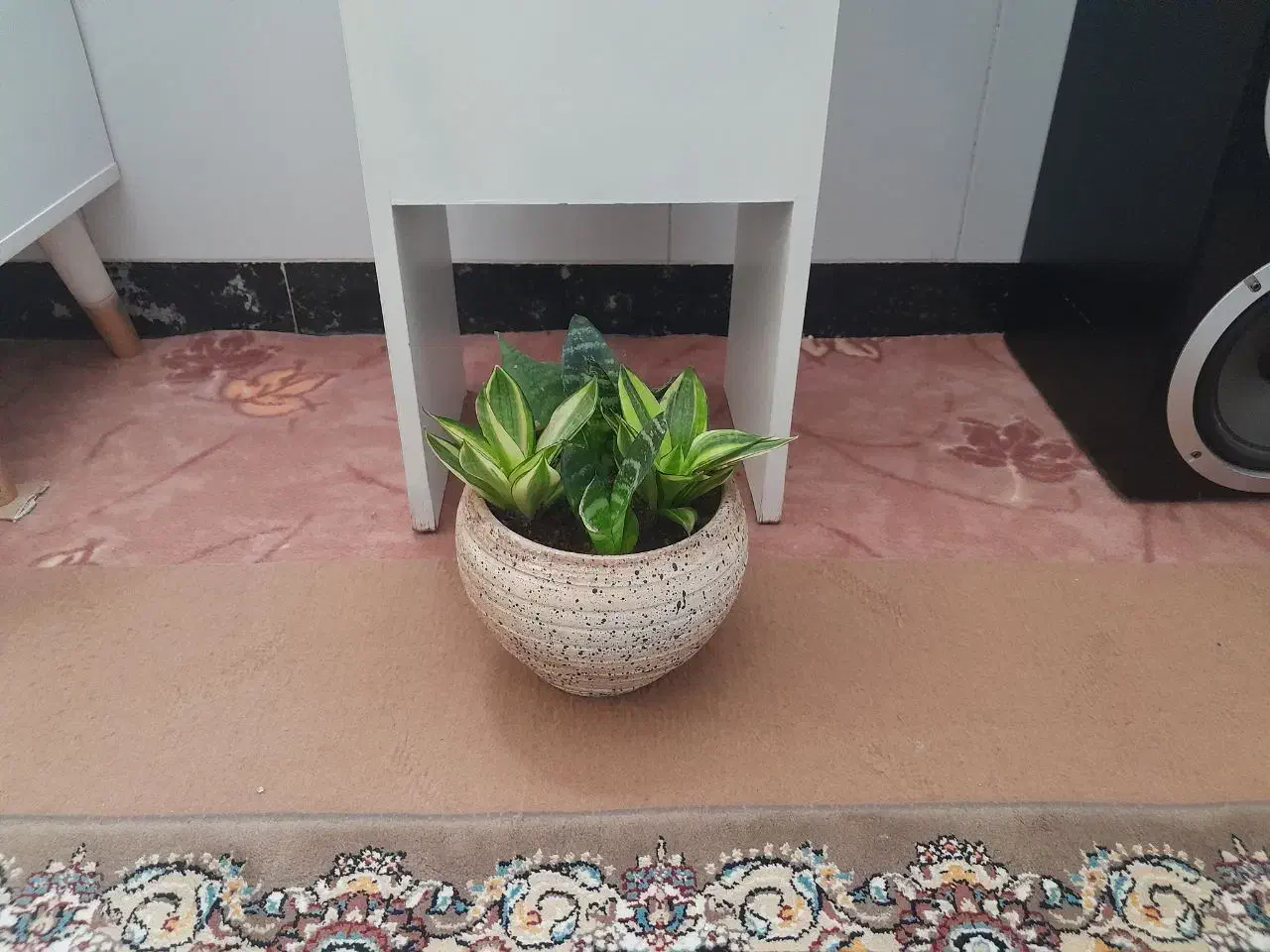 گلدان|صنایع دستی و سایر لوازم تزئینی|میانه, |دیوار