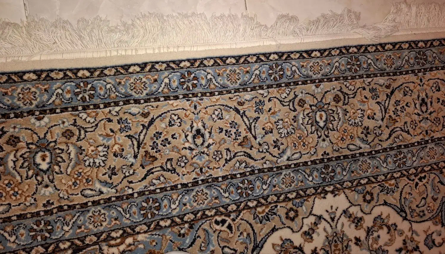 فرش ۶ متری|فرش|رشت, دیانتی|دیوار