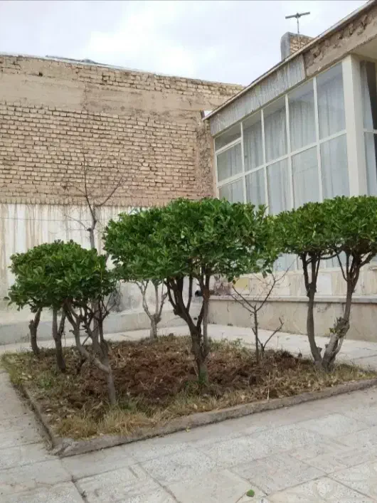 خدمات باغبانی.ویلا و باغچه...|خدمات باغبانی و درختکاری|نجف‌آباد, هفده شهریور|دیوار
