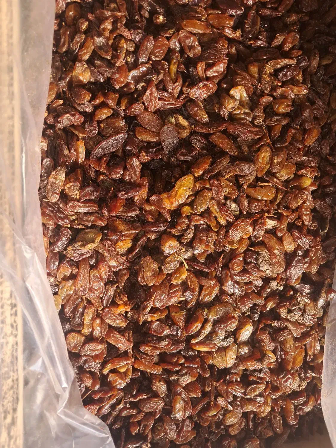 کشمش افتابی|خوردنی و آشامیدنی|گرگان, |دیوار