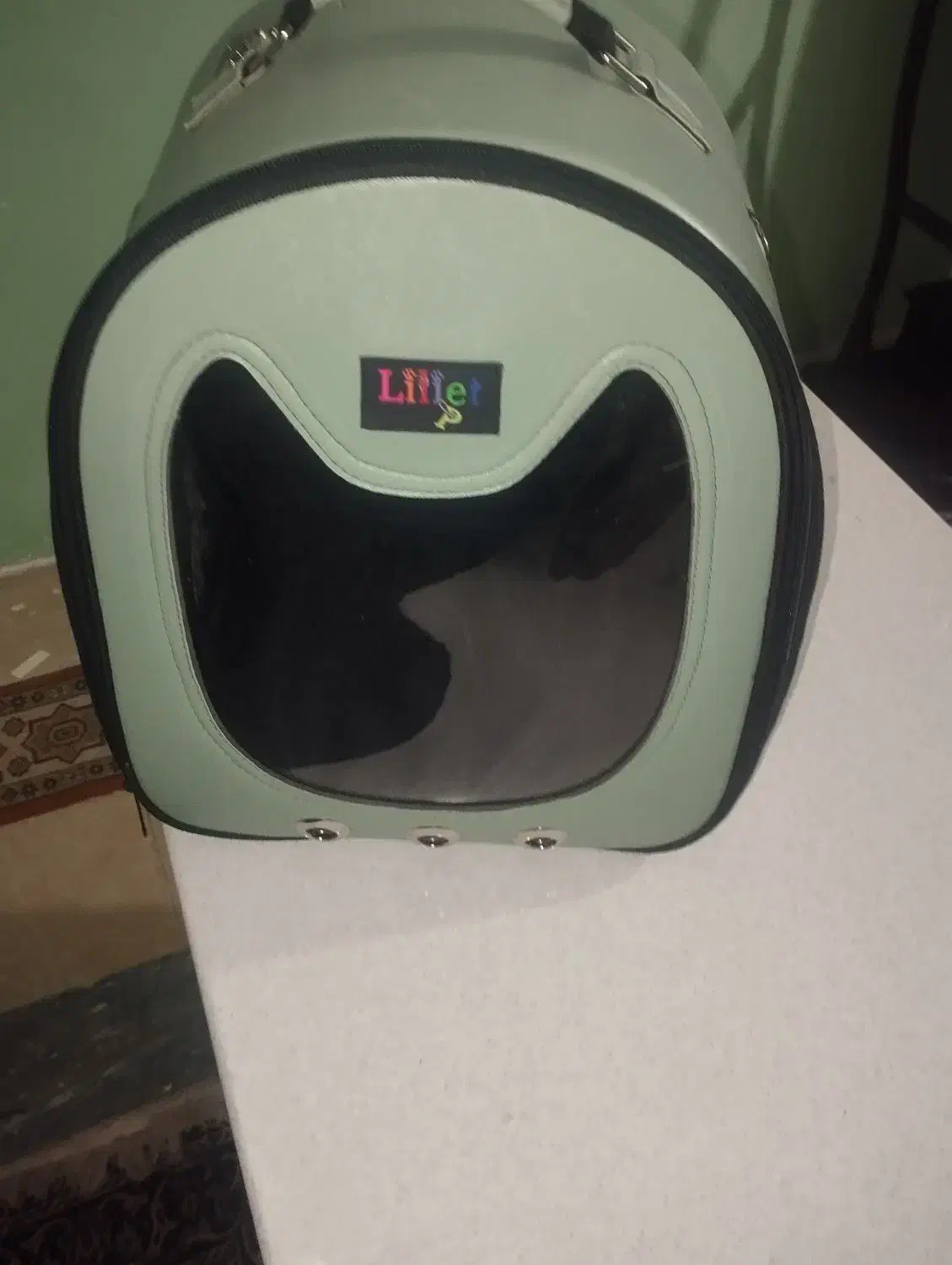 کیف حمل سگ وگربه|کیف، کفش، کمربند|قزوین, |دیوار