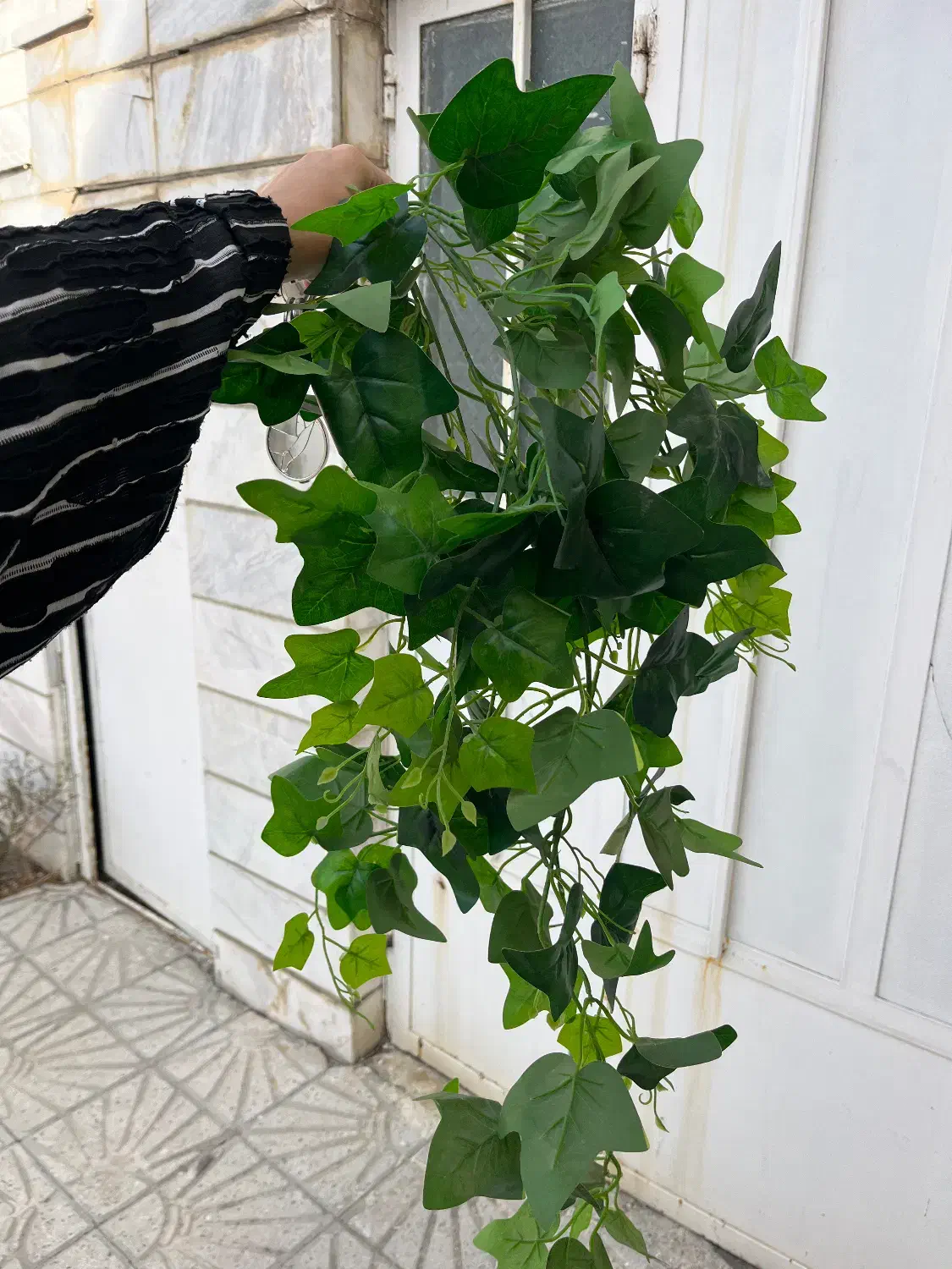 گل مصنوعی|گل مصنوعی|کرمانشاه, |دیوار