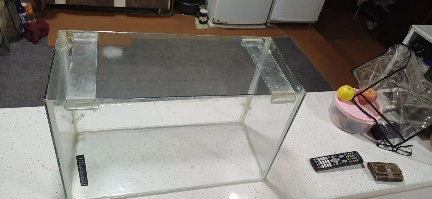 شیشه آکواریوم|ماهی|دوگنبدان, |دیوار