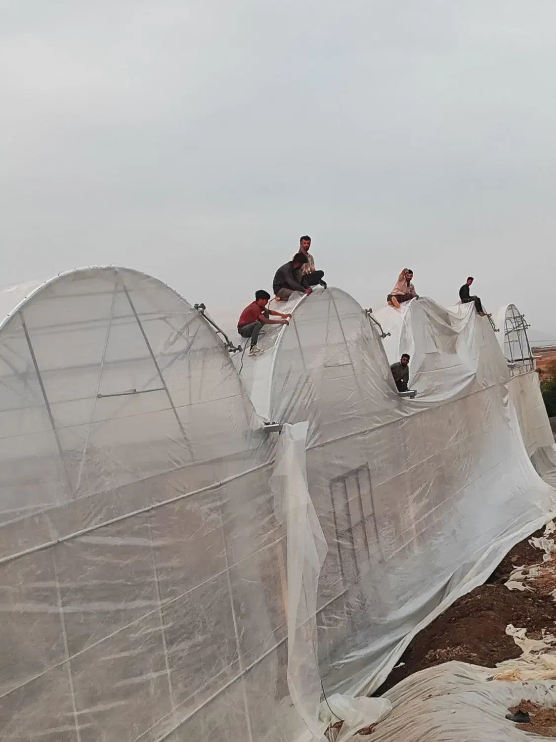 کارگر ساده گل خانه سازی|استخدام صنعتی، فنی، مهندسی|تیران, |دیوار