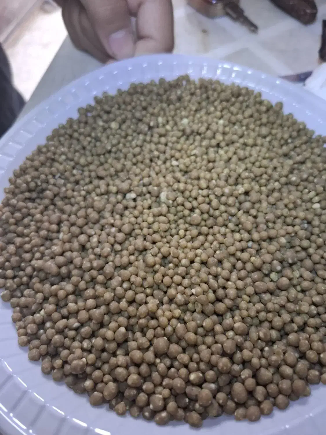 کود شیمیایی رازی ۴۶ درصد|خدمات باغبانی و درختکاری|چورزق, |دیوار