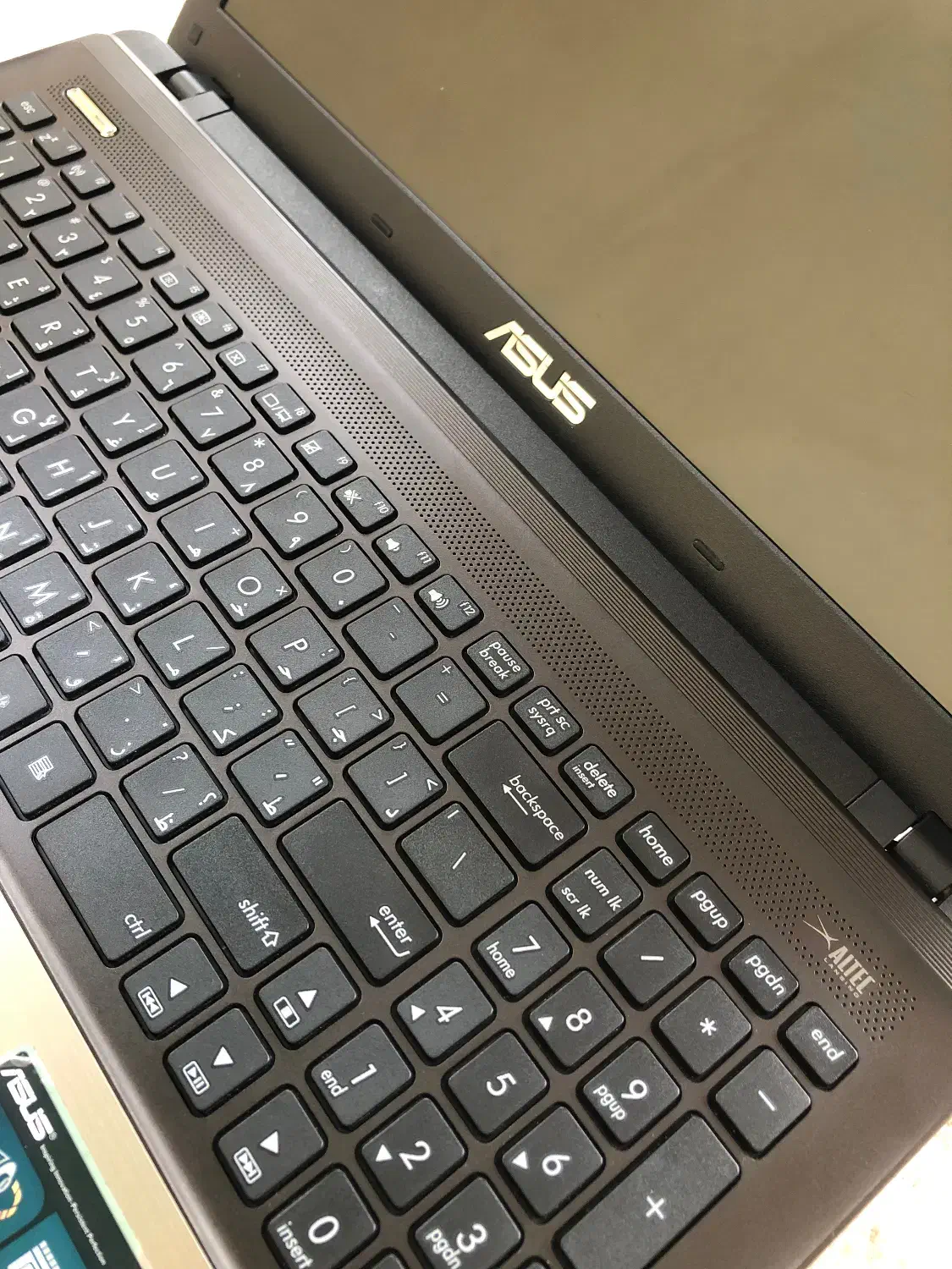 لپ تاب ایسوس|رایانه همراه|تالش, هشتپر|دیوار