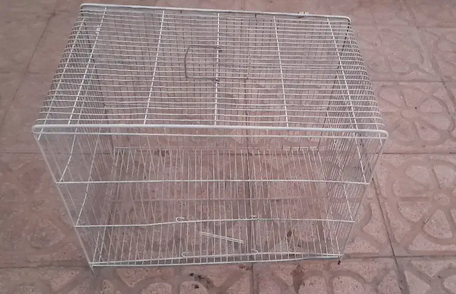 قفس پرنده|لوازم جانبی حیوانات|خوی, |دیوار