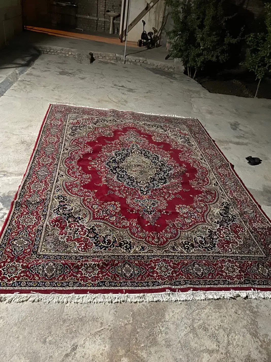 فروش دو عدد فرش ۱۲ متری|فرش|مزرعه کتول, |دیوار