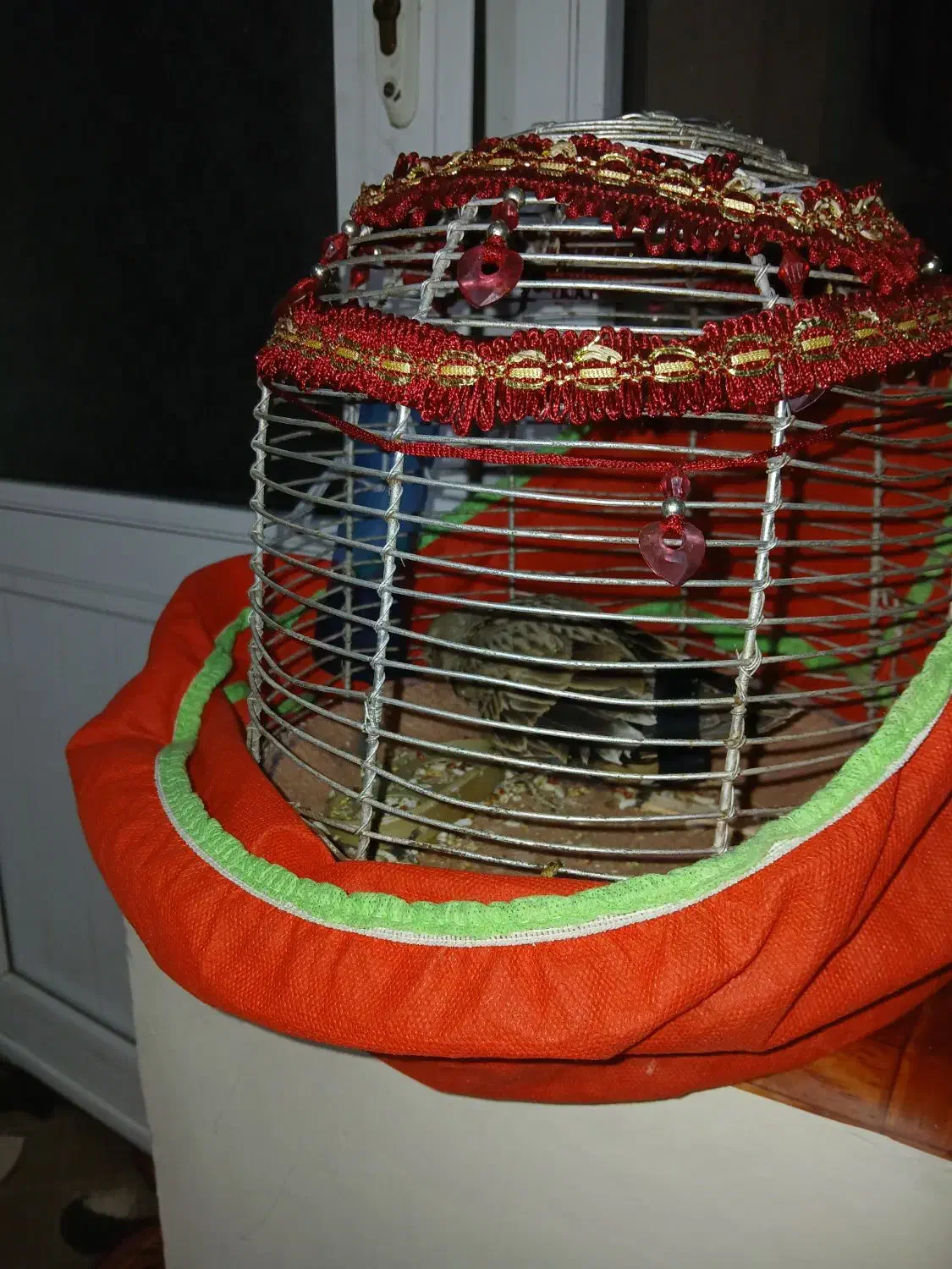 واگذاری سهره جوجه قفس|پرنده|اردبیل, |دیوار