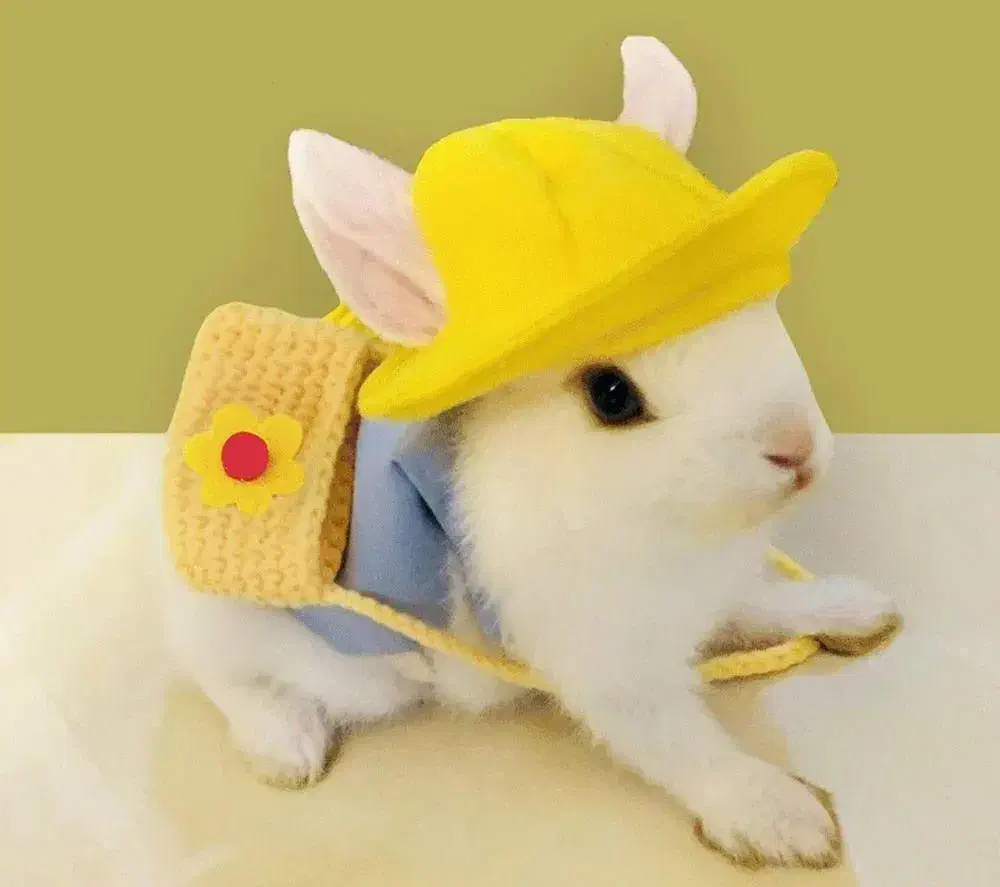 باگز بانی لوپ باهوش مینیاتوری خرگوش|موش و خرگوش|اصفهان, جلفا|دیوار