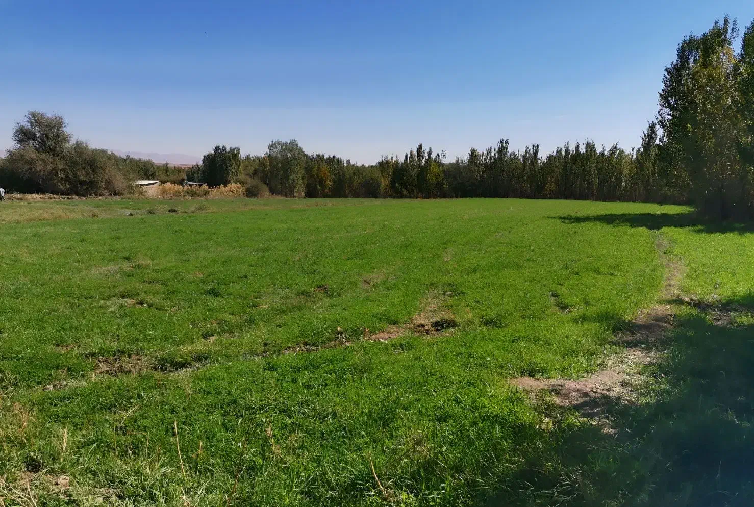 زمین زراعی روستای بندیزه|فروش زمین و ملک کلنگی|اشترینان, |دیوار